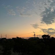 shukiさんのアイコン画像