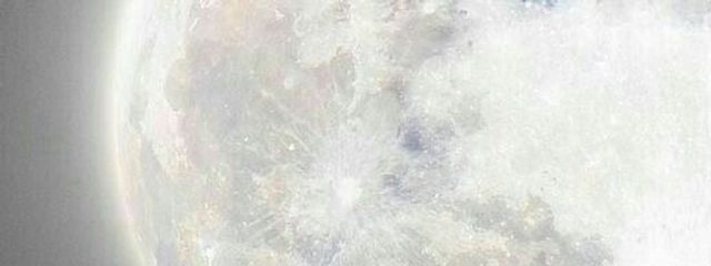 　⠀ ⠀飛花さんの壁紙画像