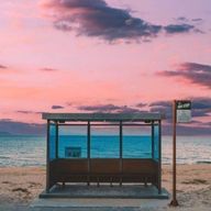 まあむさんのアイコン画像