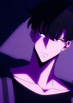 ヒーロー志望、俺レベ世界へ堕ちました