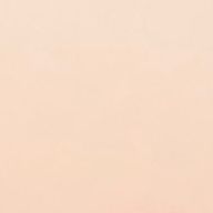 ラグさんのアイコン画像