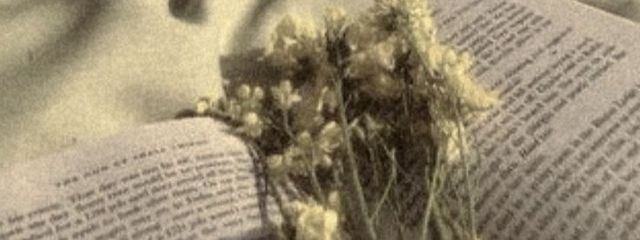 sol⋆𝜗𝜚さんの壁紙画像