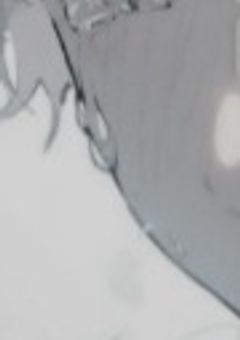 大好き ゛だった ゛ 家族に嫌われたので、暗殺者に戻ります。