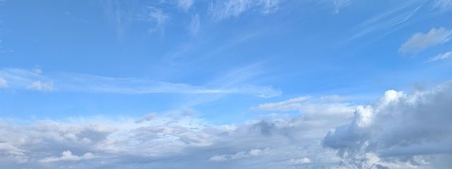 少し様子のおかしいabkj厨@🟠🐶🐾さんの壁紙画像