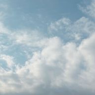 少し様子のおかしいabkj厨@🟠🐶🐾さんのアイコン画像