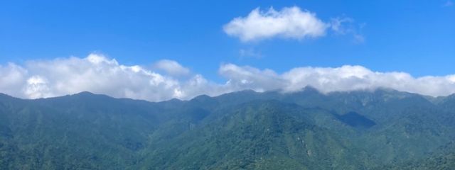 ヤイネ #フォロバさんの壁紙画像