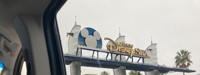 ⋆͛🦖⋆͛🦕さんの壁紙画像