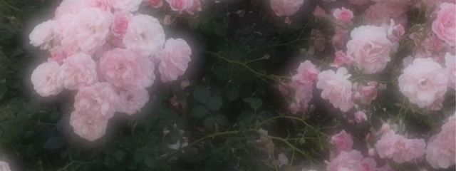 無浮さんの壁紙画像