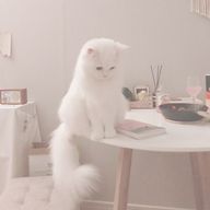 無浮さんのアイコン画像