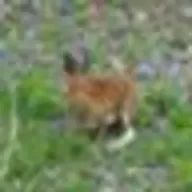 MRUEさんのアイコン画像