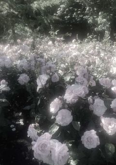 NjSj︴ド陰キャの私がモテてしまった件