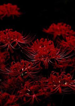 ﾍﾝﾀｲ愛されライバー【 lrn 】