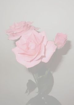 に ょ た せ ぶ ち .