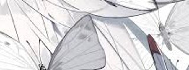 星 兎 璃 月 @ 別垢で🌈🕒投稿中さんの壁紙画像