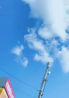 何も思わない