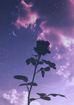 大好きなFFさんへ