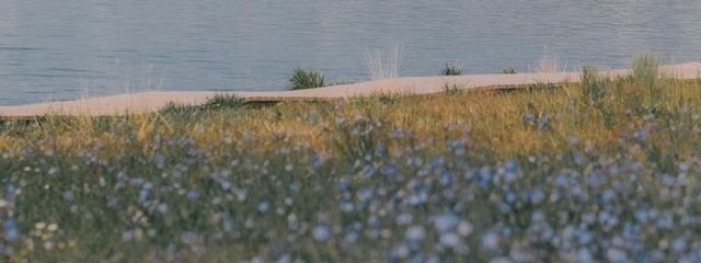 Shamukoさんの壁紙画像