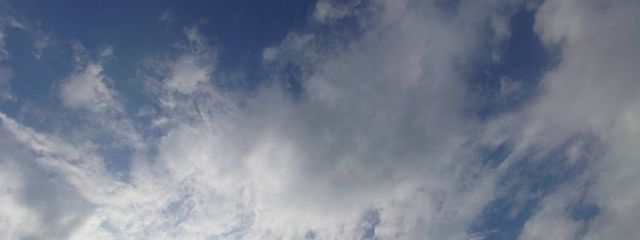 Asameさんの壁紙画像