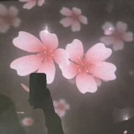 優奏さんのアイコン画像