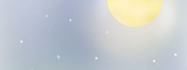 shamluさんの壁紙画像