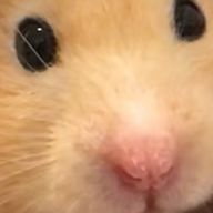 ゆきみちゃん＠ありがとうございましたさんのアイコン画像