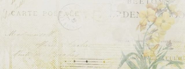 向日葵 # 🌻🪄︎︎🧡 × 🖋🎐🌸 さんの壁紙画像