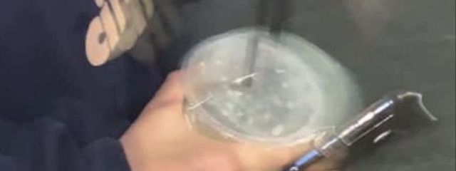 ririaさんの壁紙画像