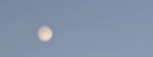 ユッキーだにょさんの壁紙画像