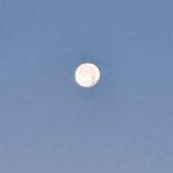 ユッキーだにょさんのアイコン画像