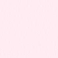 瑠波さんのアイコン画像