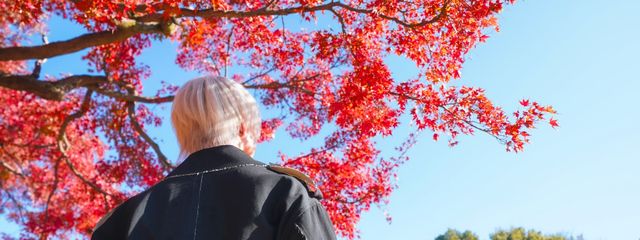 🫶🏻さんの壁紙画像