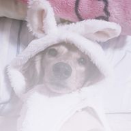 🫶🏻さんのアイコン画像