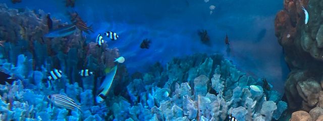 月山しゅうさんの壁紙画像