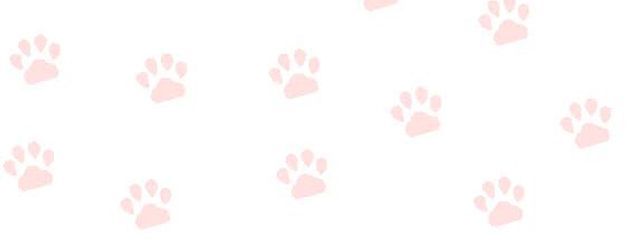 らべ💖🐱さんの壁紙画像