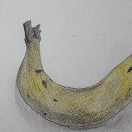 推しさんのアイコン画像
