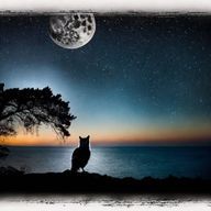 あんこのお餅さんのアイコン画像