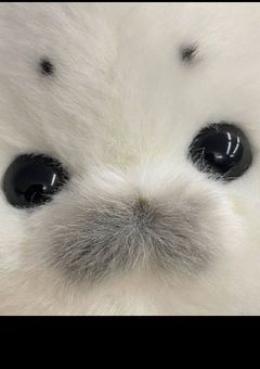 春桜の小説まとめ🌸