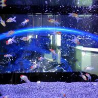 s.kさんのアイコン画像