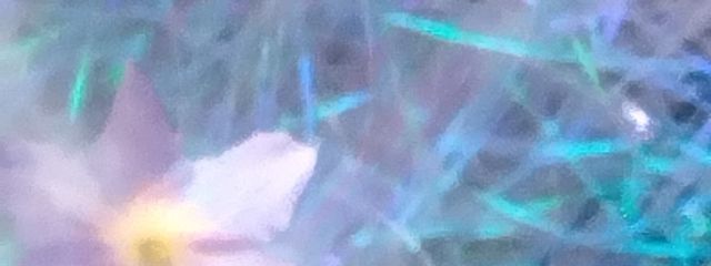 ＵＩさんの壁紙画像