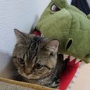 ハツ