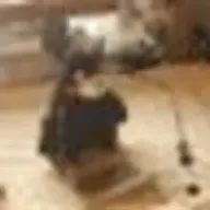 弟子さんのアイコン画像