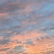 れもんうさぎさんのアイコン画像