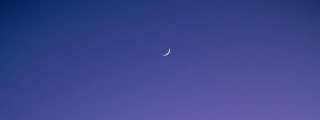 つなさんの壁紙画像