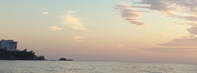 ねこさんの壁紙画像