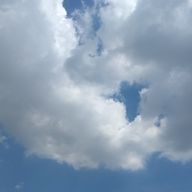 ねこさんのアイコン画像