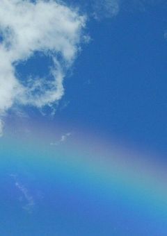 最高に尾も白い夢舞台へ