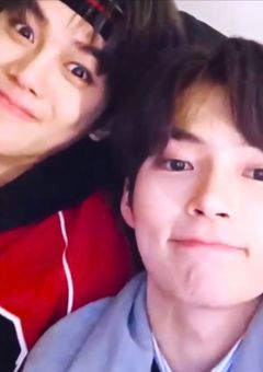 ボイプラの通訳兼スタッフに？