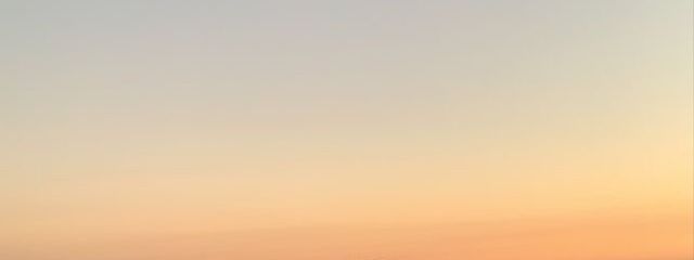 じぇじぇさんの壁紙画像