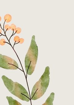 ≮なっつ短篇集２≯nmmn枠