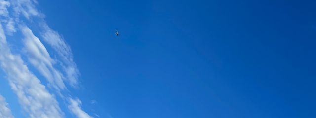 ラビッさんの壁紙画像